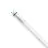 Philips Master Tubo LED T8 (EM/Mains) High Output T8 16.7W 3100lm - 840 Bianco Freddo | 150cm - Sostitutiva 58W