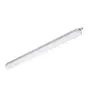 Philips Stagna LED CoreLine WT120C G2 20.5W 2500lm - 840 Bianco Freddo | 120cm 