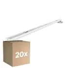 Confezione Multipack 20x Noxion Reglette Click LED T8 | Adatto Per 2x60cm Tubo LED