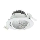 Philips Faretti LED Greenspace Accent Cardanic Aluminium Bianca 31W 3900lm 36D - 930 Luce Calda -  | 163mm - IP20 - Miglior Resa Cromatica - Dali Dimmerabile